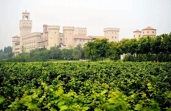 微信圖片_20191219101814.jpg 微信圖片_20191219101814.jpg