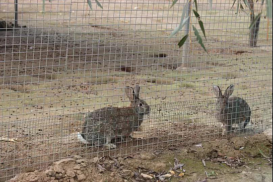 微信圖片_20191210093954.jpg 微信圖片_20191210093954.jpg