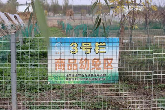 微信圖片_20191210094021.jpg 微信圖片_20191210094021.jpg