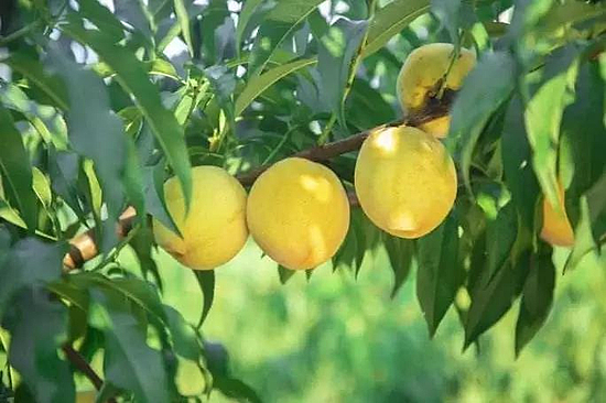 微信圖片_20191210094046.jpg 微信圖片_20191210094046.jpg