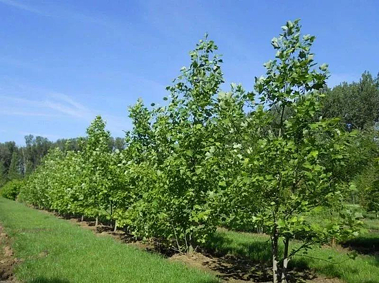 微信圖片_20191210094136.jpg 微信圖片_20191210094136.jpg