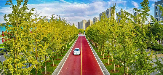 微信圖片_20191113190126.jpg 微信圖片_20191113190126.jpg