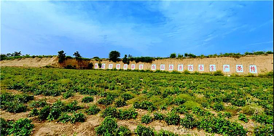 微信圖片_20190527174913.jpg 微信圖片_20190527174913.jpg