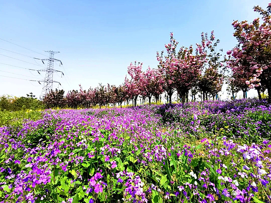 640.webp.jpg 640.webp.jpg