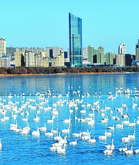 1544385149746_1.jpg 1544385149746_1.jpg