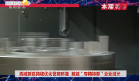 《西咸時(shí)間》第三百七十六期：西咸新區(qū)持續(xù)優(yōu)化營(yíng)商環(huán)境  賦能“專(zhuān)精特新”企業(yè)成長(zhǎng)